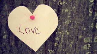 Paper heart tree love moon - the word love free wallpaper