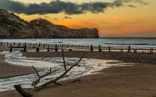 Beach tree branch rock sunset - anthony s waters free wallpaper