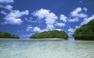 Lake forest sky islands reflection - a bunch of trees free wallpaper