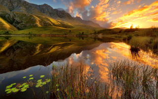 Sunset mountain lake lily pads - a beautiful sunset over a mountain lake free wallpaper