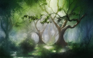 Fantasy forest stream sunbeam detailed - andreas rocha free wallpaper for desktop