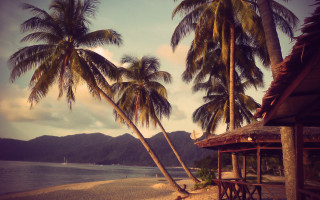 Hut beach palm trees mountain - the water behind free wallpaper