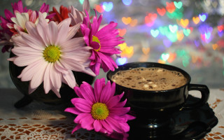 Coffee saucer flowers colorful lights - a cup of coffee free wallpaper