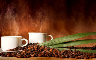 Coffee cups beans leaves steam - two cup of coffee free wallpaper