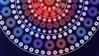 Generative spiral floral kimono wings - earnst haeckel free wallpaper for desktop