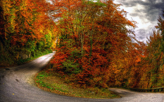 Winding road autumn leaves nature 2 - a cloudy sky above free wallpaper