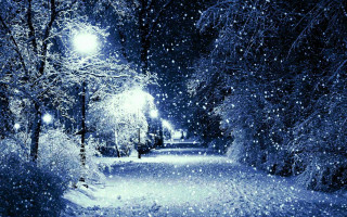 Snowy path trees streetlights night - a snowy path free wallpaper