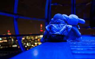 Teddy bear ledge night city - a teddy bear free wallpaper