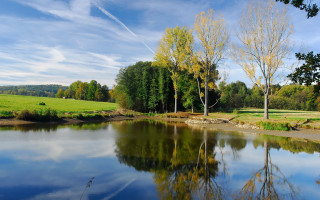 Pond trees grassy clouds matte - a pond free wallpaper