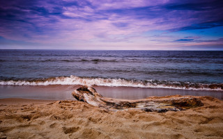 Log beach purple sky ocean - a purple sky above free wallpaper for desktop
