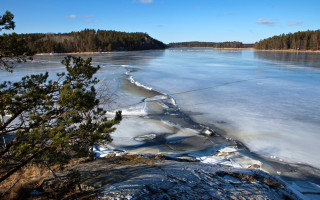 Frozen lake trees clouds sky - akseli gallenkallela free wallpaper