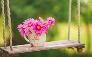 White mug pink flowers swing - a rope free wallpaper