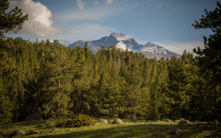 Mountain range trees rocks grassy - a grassy field in the foreground free wallpaper
