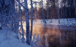 Snowy lake forest sunset brook - snow covered trees and a forest free wallpaper