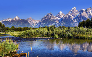 River forest hillside snow mountains - hillside free wallpaper for desktop