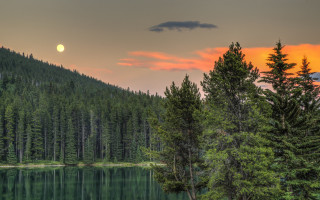Full moon lake mountains trees - tree and mountains free wallpaper for desktop
