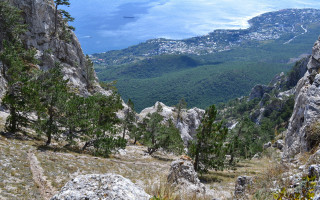 Mountain lake view forest bush - a view of a body free wallpaper