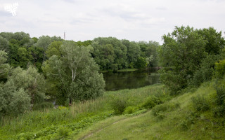 River forest greenery cloudy day - landscape free wallpaper
