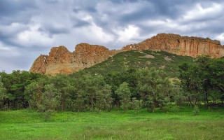 Grassy field mountain trees cloudy - free landscape wallpaper for desktop