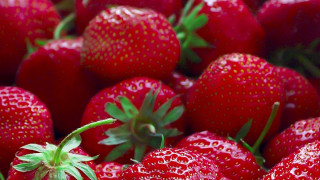 Strawberry dew closeup berries leaf - strawberry free wallpaper for desktop