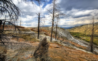 Mountain trail dead trees cloudy - a trail in the foreground free wallpaper