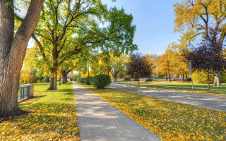 Park bench autumn leaves tiltshift - arlington nelson lindenmuth free wallpaper