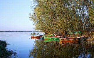 Canoes lake trees sky ecological - the shore of a lake free wallpaper for desktop