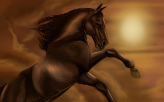 Horse air running front legs - professional digital painting free wallpaper