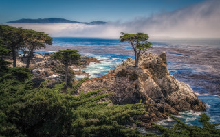 Lone tree rocky cliff ocean - the ocean and mountains free wallpaper
