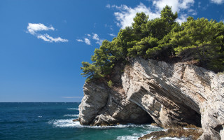 Rocky cliff tree ocean blue - top of it next free wallpaper