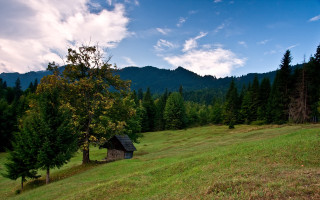 Small cabin field trees mountains - alen divi free wallpaper