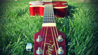 Red guitar green field folk 2 - a red guitar free wallpaper