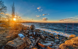 Sunset rocky beach guitar tree - a sunset over a rocky beach free wallpaper