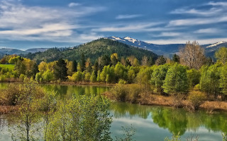 River trees mountains cloudy sky - tree and mountains under a cloudy sky free wallpaper
