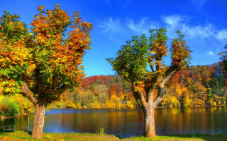 Lake fall colors fence impresionist - fall free wallpaper for desktop