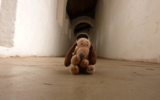 Stuffed animal liminal space cave - the end of the tunnel free wallpaper