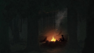 Man forest fire pit glowing - a forest next free wallpaper