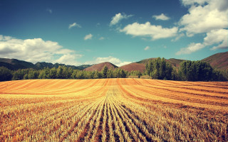 Wheat field mountains clouds sky - fall vibrancy free wallpaper for desktop