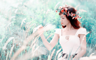 Woman white dress field flower 2 - chen rong free wallpaper