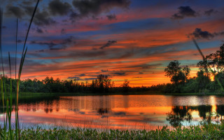 Sunset lake trees grass clouds 3 - a sunset over a lake free wallpaper for desktop