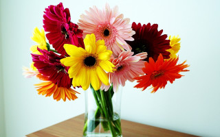 Vase colorful flowers table wall 2 - free flowers wallpaper
