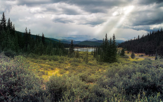 Lake forest bushes cloudy sky - adobe lightroom free wallpaper