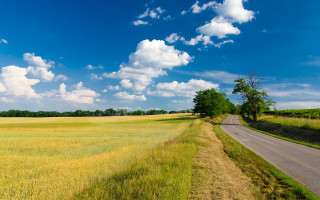 Road field sky clouds tree - free summer wallpaper