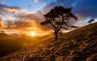 Hill sunset tree clouds landscape 2 - the sun setting behind free wallpaper