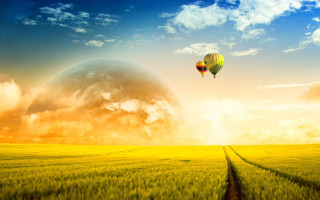 Hot air balloon green field 2 - a hot air balloon free wallpaper for desktop
