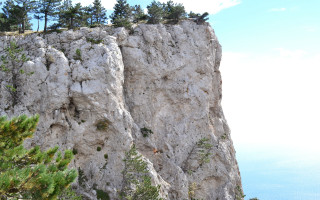 Large cliff tree blue sky - a large cliff free wallpaper