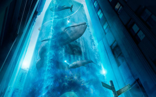 City whale man aquarium bio - the water and a man free wallpaper