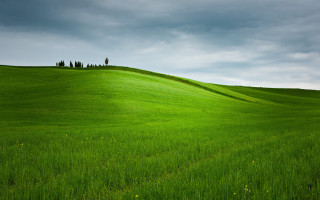 Green field lone tree cloudy 3 - landscape free wallpaper for desktop