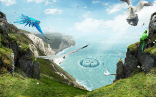 Birds cliff water fantasy matte - a painting of birds free wallpaper