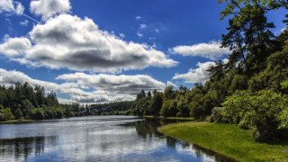 Lake forest shore cloudy sky - alexander johnston free wallpaper for desktop